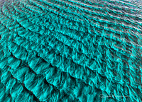 Waves of Aqua