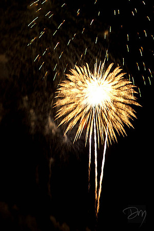 Cocoa_Beach_Fireworks_Palm