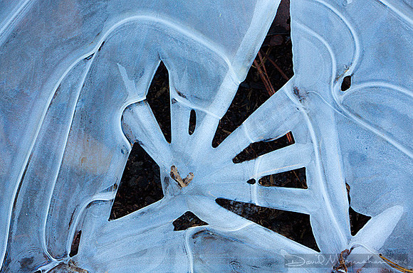 Ice Spokes